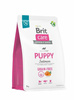 BRIT CARE PIES 3kg PUPPY SALMON           GRAIN-FREE*