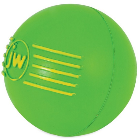 JW Pet iSqueak Ball Medium [32124D]