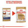 Royal Canin Chihuahua Adult karma mokra – pasztet, dla psów dorosłych rasy chihuahua saszetka 85g