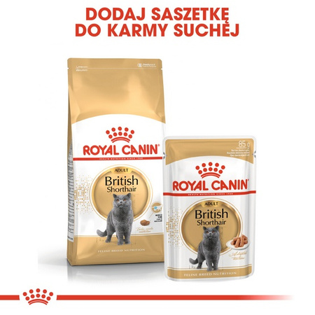 Royal Canin British Shorthair Adult karma sucha dla kotów dorosłych rasy brytyjski krótkowłosy 10kg