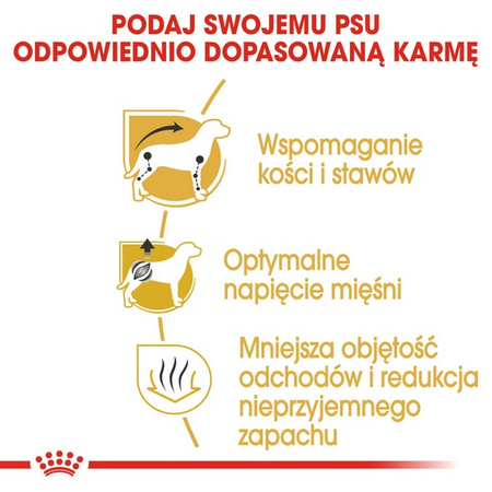 Royal Canin Dachshund Adult karma sucha dla psów dorosłych rasy jamnik 7,5kg