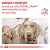 Royal Canin Veterinary Diet Canine Gastrointestinal Low Fat Small 1,5kg