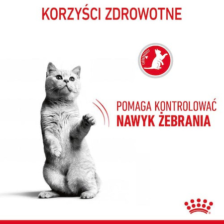 Royal Canin Appetite Control Care karma sucha dla kotów dorosłych, domagających się jedzenia 400g