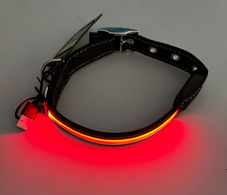 PETLOVE Obroża LED USB STANDARD L Red szer. 25 mm; dł. 45-63 cm