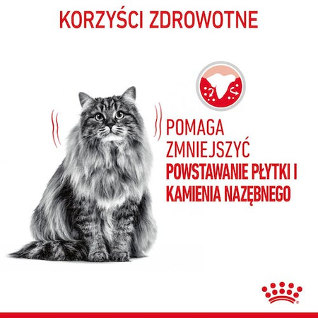 Royal Canin Dental Care karma sucha dla kotów dorosłych, redukująca odkładanie kamienia nazębnego 3,5kg