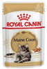 Royal Canin Maine Coon karma mokra w sosie dla kotów dorosłych rasy maine coon saszetka 85g