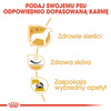 Royal Canin West Highland White Terrier Adult karma sucha dla psów dorosłych rasy west highland white terrier 1,5kg