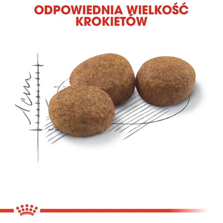 Royal Canin Sterilised karma sucha dla kotów dorosłych, sterylizowanych 12kg (10+2kg)