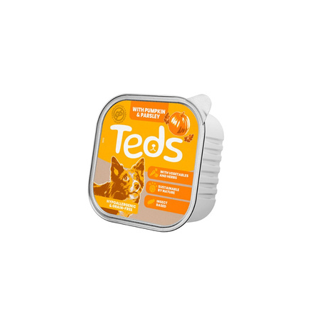 TEDS Insect Pumpkin - karma z owadów, dynią i pietruszką (150g)