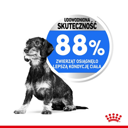 Royal Canin Mini Light Weight Care karma sucha dla psów dorosłych, ras małych z tendencją do nadwagi 1kg