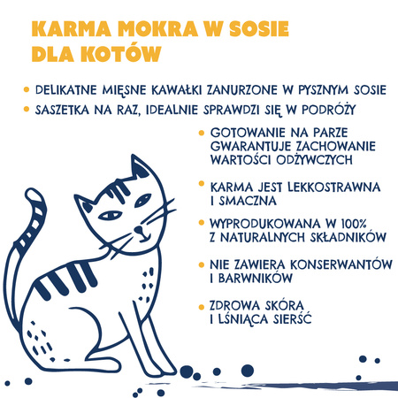 Karma mokra dla kota TEO saszetka bogata w drób 85 g