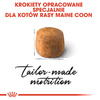 Royal Canin Maine Coon Adult karma sucha dla kotów dorosłych rasy maine coon 2kg