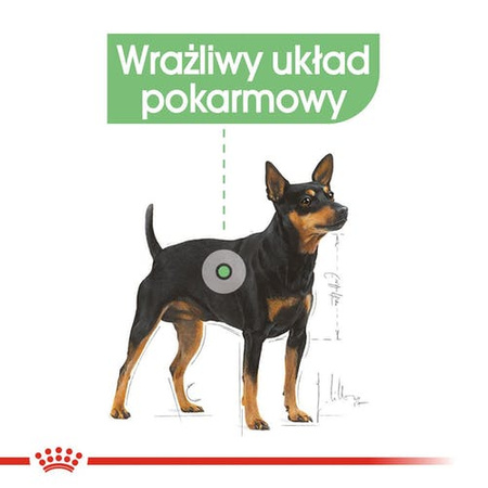 Royal Canin Digestive Care karma mokra dla psów dorosłych, wszystkich ras o wrażliwym przewodzie pokarmowym saszetka 85g