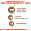 Royal Canin Ageing +12 Sterilised karma sucha dla kotów dojrzałych, sterylizowanych 2kg