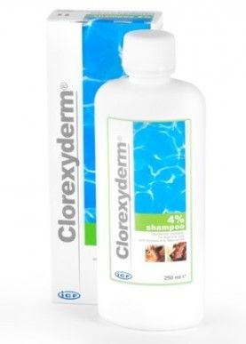 Clorexyderm Shampoo 4% 250 ml