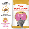 Royal Canin British Shorthair Kitten karma sucha dla kociąt, do 12 miesiąca, rasy brytyjski krótkowłosy 400g