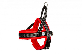 ALL FOR DOGS SZELKI NORWESKIE 50 CZERW. 60-70cm