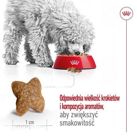 Royal Canin Mini Adult karma sucha dla psów dorosłych, ras małych 8kg