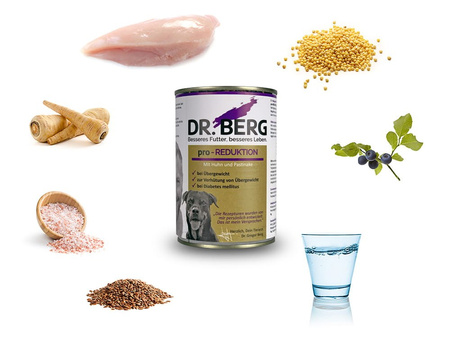 Dr BERG Pro-REDUKTION - redukcja wagi, cukrzyca 400g