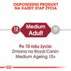 Royal Canin Medium Adult karma mokra w sosie dla psów dorosłych, ras średnich saszetika 140g