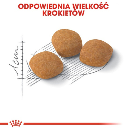 Royal Canin Exigent Protein Preference karma sucha dla kotów dorosłych, wybrednych, kierujących się białkiem 2kg