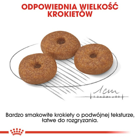 Royal Canin Mini Ageing 12+ karma sucha dla psów dojrzałych po 12 roku życia, ras małych 1,5kg