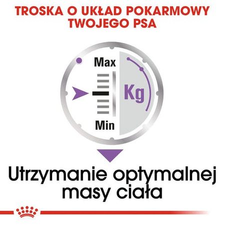 Royal Canin Sterilised karma mokra dla psów dorosłych, wszystkich ras po sterylizacji, pasztet saszetka 85g