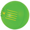 JW Pet iSqueak Ball Medium [32124D]