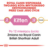 Royal Canin British Shorthair Kitten karma sucha dla kociąt, do 12 miesiąca, rasy brytyjski krótkowłosy 400g