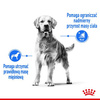 Royal Canin Maxi Light Weight Care karma sucha dla psów dorosłych, ras dużych z tendencją do nadwagi 12kg