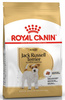 Royal Canin Jack Russell Terrier Adult karma sucha dla psów dorosłych rasy jack russell terrier 500g