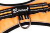 PETLOVE Szelki LED USB POJEDYNCZE M Orange obwód klatki 57-68, obwód szyi 49-56