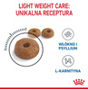 Royal Canin Light Weight Care karma sucha dla kotów dorosłych, utrzymanie prawidłowej masy ciała 400g