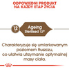 Royal Canin Ageing +12 Sterilised karma sucha dla kotów dojrzałych, sterylizowanych 2kg