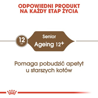 Royal Canin Ageing +12 karma sucha dla kotów dojrzałych 4kg