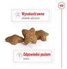 Royal Canin Mini Adult karma sucha dla psów dorosłych, ras małych 8kg