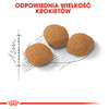 Royal Canin Exigent Protein Preference karma sucha dla kotów dorosłych, wybrednych, kierujących się białkiem 400g