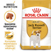 Royal Canin Jack Russell Terrier Adult karma sucha dla psów dorosłych rasy jack russell terrier 500g