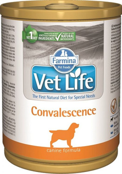 Farmina Vet Life Convalescence Dog 300g x 24 szt