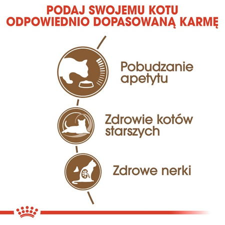 Royal Canin Ageing +12 karma sucha dla kotów dojrzałych 4kg