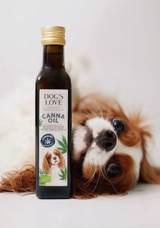 DOG'S LOVE BIO Canna Canis - ekologiczny olej konopny dla psa (250 ml)