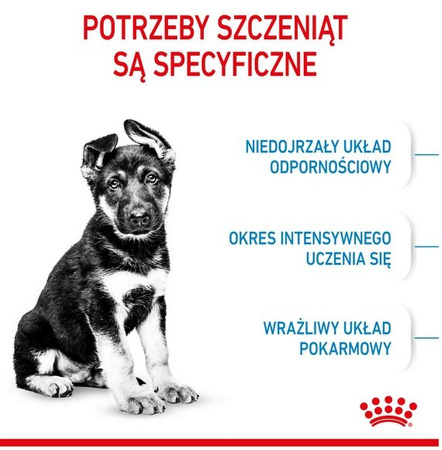 Royal Canin Maxi Puppy karma sucha dla szczeniąt, od 2 do 15 miesiąca życia, ras dużych 15kg