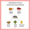 Karma mokra dla psa PUPIL Premium All Meat ADULT kurczak i wołowina 800 g