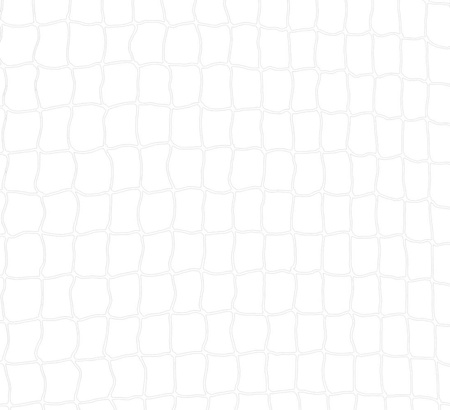 TX-44343 SIATKA TRANSPARENTNA  8x3m
