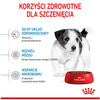 Royal Canin Mini Puppy karma sucha dla szczeniąt, od 2 do 10 miesiąca życia, ras małych 8kg