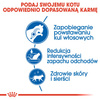 Royal Canin Indoor Long Hair karma sucha dla kotów dorosłych, długowłose, przebywających wyłącznie w domu 10kg