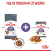 Royal Canin Appetite Control Care karma sucha dla kotów dorosłych, domagających się jedzenia 400g