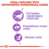 Royal Canin Sterilised 7+ karma sucha dla kotów dorosłych, od 7 do 12 roku życia, sterylizowanych 10kg